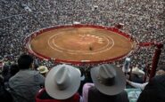 México toros