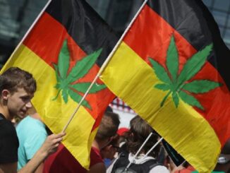 alemania cannabis