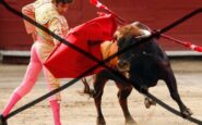 corridas toros colombia