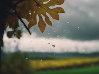 1216x832 13 10 51 57 957430823