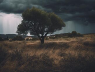 1216x832 08 18 51 47 71380535