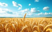 Immagine della liquidazione di L’Agrària a Osona