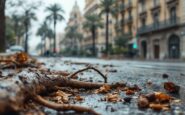 Familiares de víctimas de la dana piden justicia