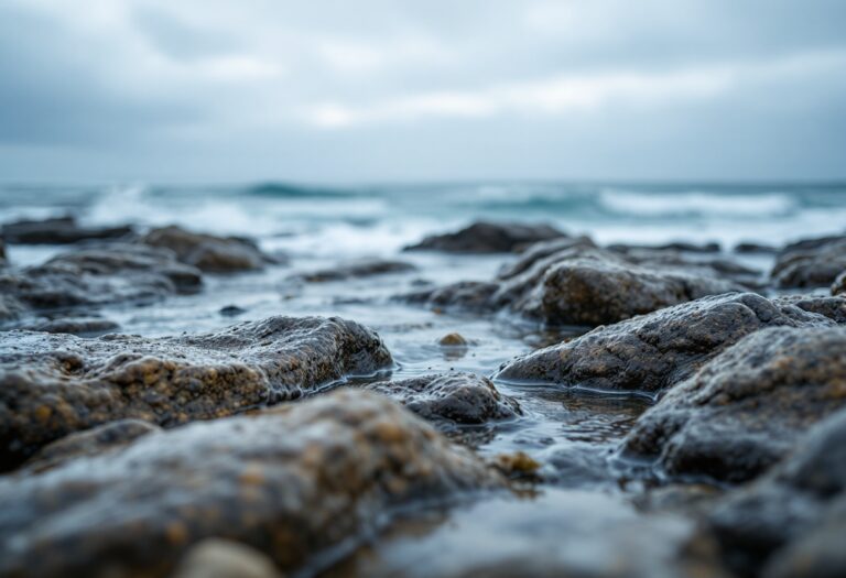 Immagine di pepinios di mare catturati illegalmente a Cádiz