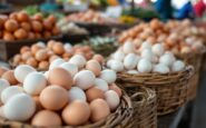 Gráfico che mostra l'impatto dell'inflazione sui prezzi alimentari