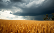 descenso de temperaturas y tormentas previsiones meteorologicas en espana 1750663526