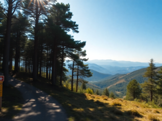 descubre la red de caminos carpetania en la sierra norte de madrid 1749961964