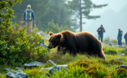 el avistamiento de un oso pardo en cantabria protocolos de intervencion 1750676071