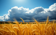 expectativas meteorologicas en espana tormentas y calor intenso 1750663513