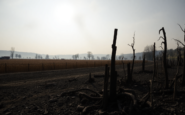 analisis de los incendios en lleida un vistazo a las cifras y sus implicaciones 1751447360
