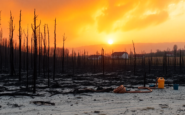 analisis del incendio de navaluenga y sus consecuencias 1752876538