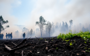 analisis del incendio en baix ebre y sus implicaciones 1751962465