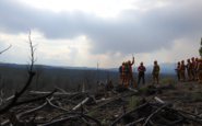 desafios de los incendios forestales en madrid y toledo 1752843157