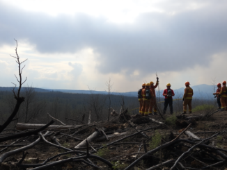 desafios de los incendios forestales en madrid y toledo 1752843157