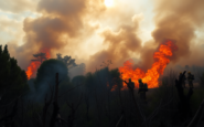 desglose del incendio en el baix ebre lecciones y realidades 1751999445