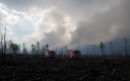 el impacto de los incendios forestales en galicia y las lecciones aprendidas python 1753913175