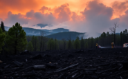 incendios en baix ebre lecciones de una crisis ambiental 1752036365