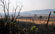 incendios en cabanabona un analisis de la devastacion agricola 1751513548