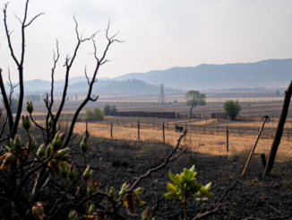incendios en cabanabona un analisis de la devastacion agricola 1751513548