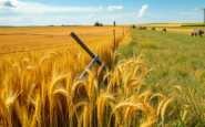 problemas de sobrepoblacion de conejos en castilla la mancha y su impacto en la agricultura python 1753493164