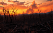 analisis de la crisis de incendios en espana y sus implicaciones python 1756110549