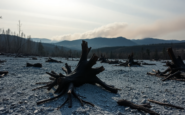 analisis de la crisis de incendios forestales en espana python 1756092234