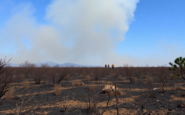 analisis de la crisis de incendios y la respuesta politica en espana python 1755827982
