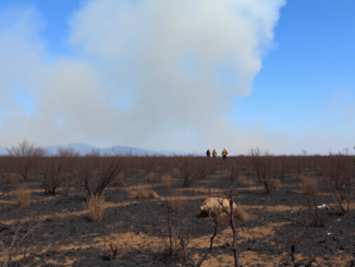 analisis de la crisis de incendios y la respuesta politica en espana python 1755827982