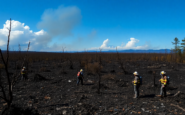 analisis de la crisis politica y su repercusion en la respuesta a incendios python 1755176472