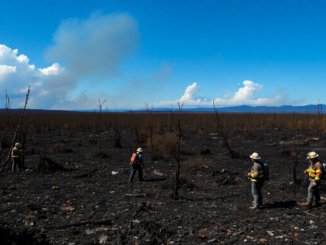 analisis de la crisis politica y su repercusion en la respuesta a incendios python 1755176472