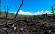 analisis de la respuesta a los incendios en verin y sus consecuencias python 1756379340