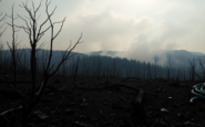 analisis del pacto de estado contra la emergencia climatica en espana python 1755668376