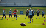 cleveland browns que futuro les espera a los mariscales de campo python 1754346156