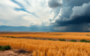 como el calor y las tormentas afectan a la peninsula python 1754716800