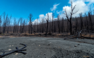 crisis de incendios en espana analisis y lecciones python 1755709060
