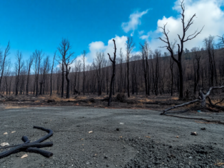 crisis de incendios en espana analisis y lecciones python 1755709060