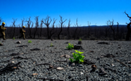 crisis de incendios en espana datos y lecciones aprendidas python 1755934413