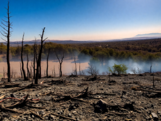 crisis de incendios en espana que nos ensenan los datos python 1755249989