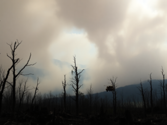 crisis de incendios en espana un analisis profundo python 1755090288
