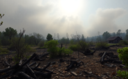 crisis de incendios forestales en espana analisis y lecciones python 1755630418