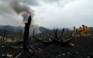 crisis de incendios forestales en espana causas y consecuencias python 1755530655