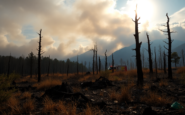 crisis de incendios forestales en espana datos y lecciones python 1755116797