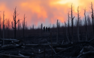 crisis de incendios forestales en espana un vistazo a la realidad python 1754483065