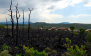 desafios en la gestion de incendios en espana un analisis critico python 1755894029