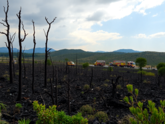 desafios en la gestion de incendios en espana un analisis critico python 1755894029