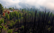 entendiendo las raices de los incendios forestales en espana python 1755067629