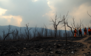 estado actual de los incendios forestales en espana y sus implicaciones python 1755952699