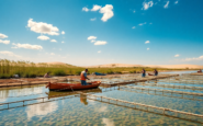 evolucion de la acuicultura en el delta del ebro hacia una produccion sostenible python 1755492407