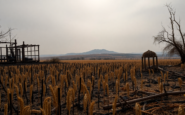 impacto economico de los incendios en la agricultura y ganaderia en espana python 1755839109