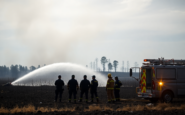 incendios en castilla y leon analisis politico y gestion de crisis python 1755048392